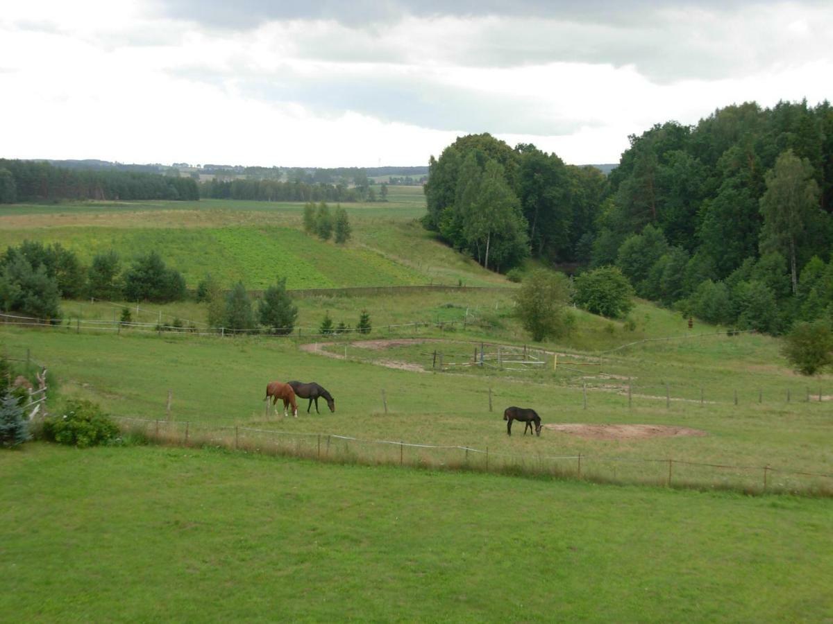 Vila Agroturystyka Owczarnia Kętrzyn Exteriér fotografie